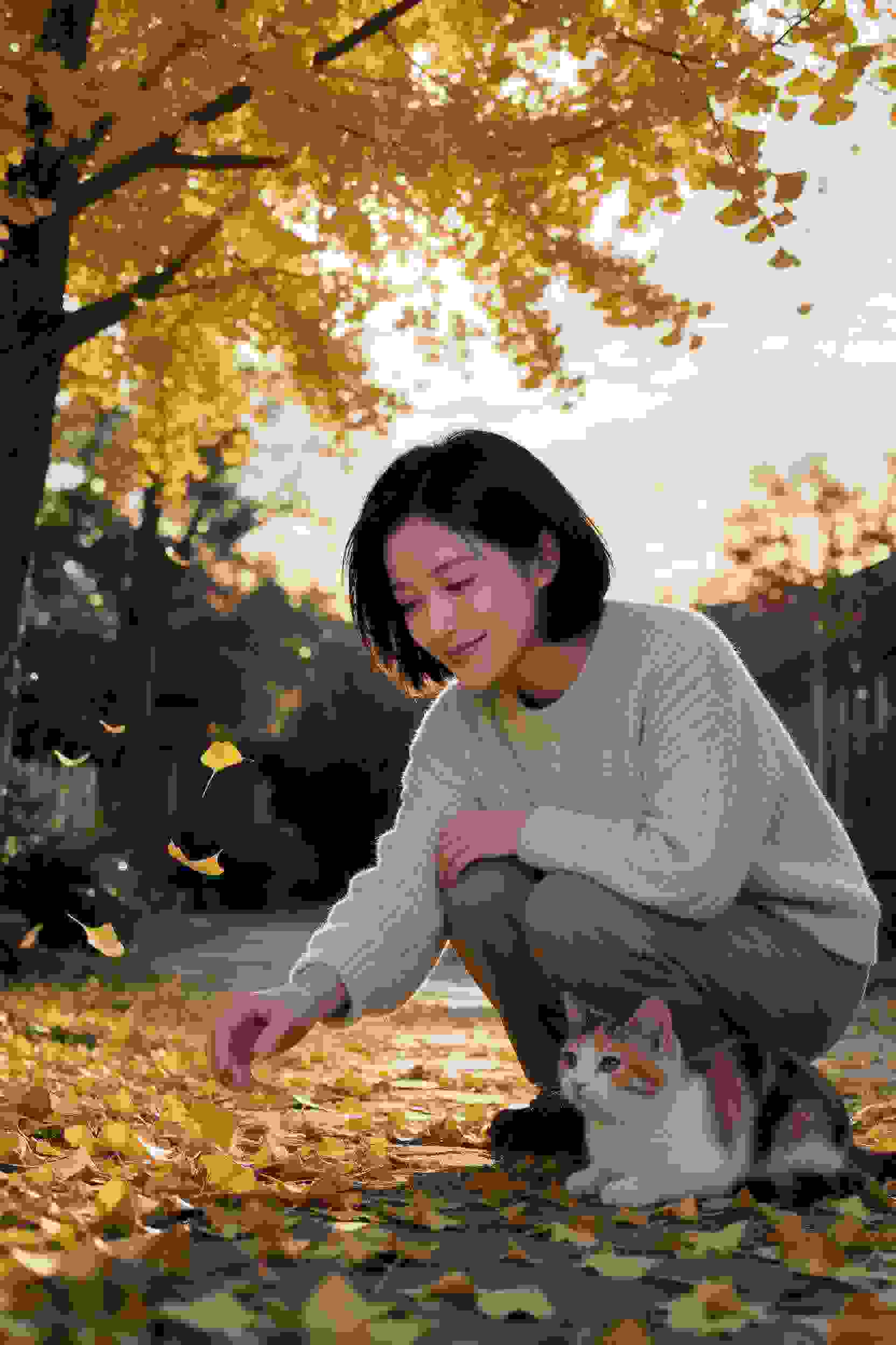 青春的心跳